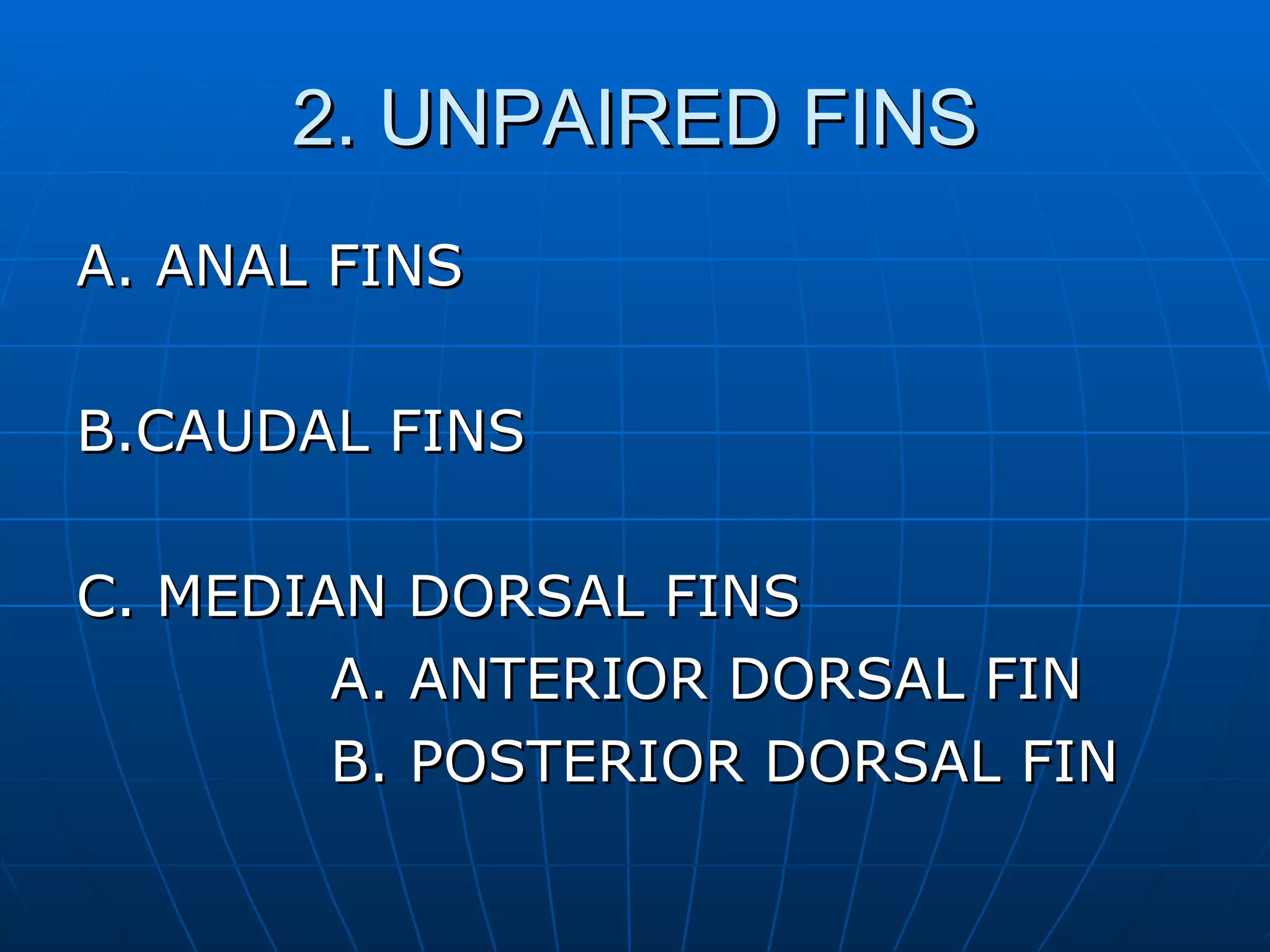 2. UNPAIRED FINS A. ANAL FINS B.CAUDAL FINS C. MEDIAN DORSAL FINS A. ANTERIOR DORSAL FIN B. POSTERIOR DORSAL FIN 