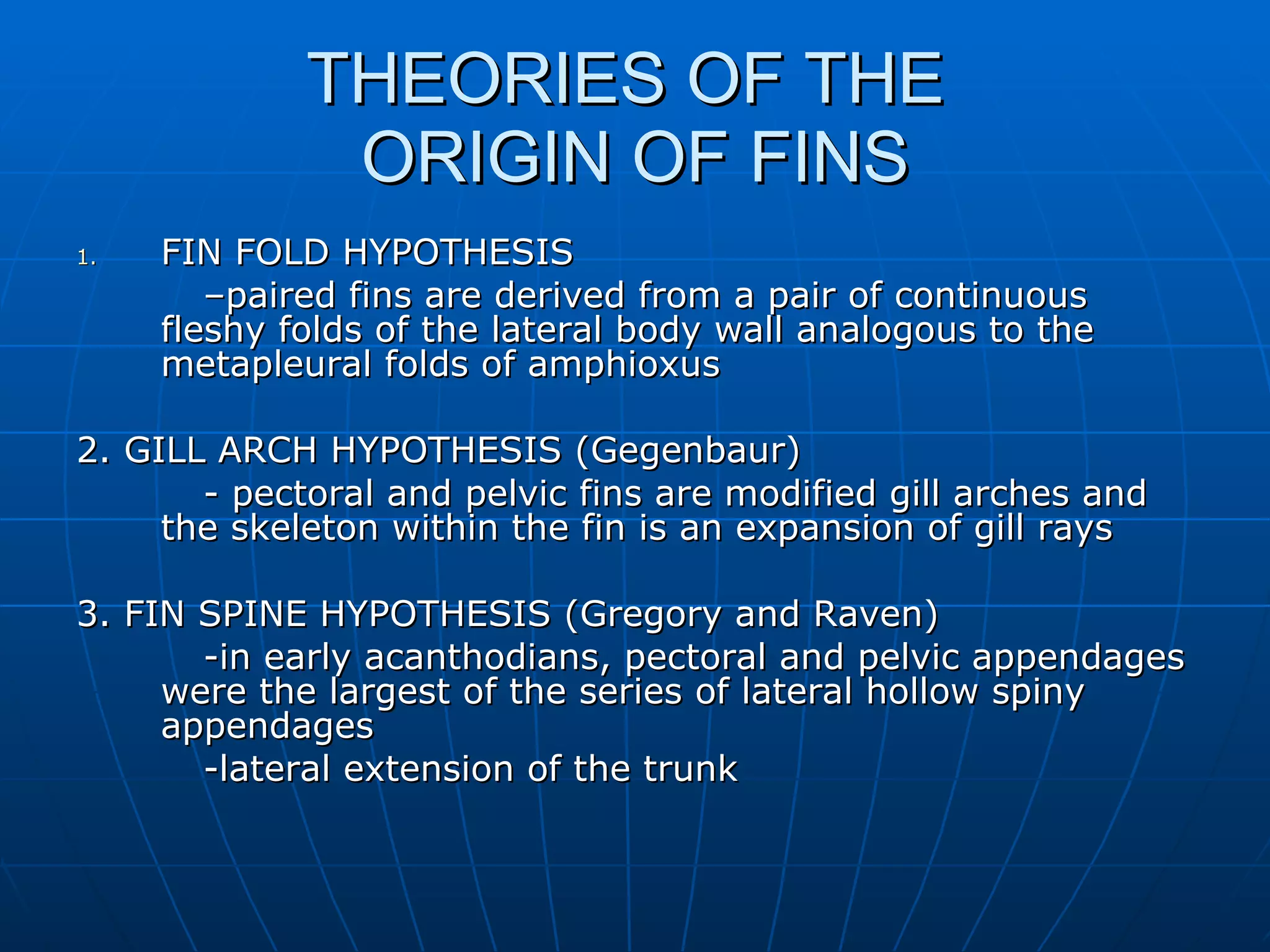 THEORIES OF THE  ORIGIN OF FINS FIN FOLD HYPOTHESIS  – paired fins are derived from a pair of continuous fleshy folds of the lateral body wall analogous to the metapleural folds of amphioxus 2. GILL ARCH HYPOTHESIS (Gegenbaur) - pectoral and pelvic fins are modified gill arches and the skeleton within the fin is an expansion of gill rays 3. FIN SPINE HYPOTHESIS (Gregory and Raven) -in early acanthodians, pectoral and pelvic appendages were the largest of the series of lateral hollow spiny appendages -lateral extension of the trunk 