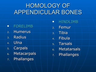 HOMOLOGY OF APPENDICULAR BONES FORELIMB Humerus Radius Ulna Carpals Metacarpals Phallanges HINDLIMB Femur Tibia Fibula Tarsals Metatarsals Phallanges 