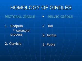 HOMOLOGY OF GIRDLES PECTORAL GIRDLE Scapula * coracoid process 2. Clavicle PELVIC GIRDLE Ilia 2. Ischia 3. Pubis  