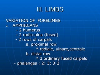 III. LIMBS VARIATION OF  FORELIMBS AMPHIBIANS - 2 humerus - 2 radio-ulna (fused)   - 2 rows of carpals a. proximal row  * radiale, ulnare,centrale b. distal row * 3 ordinary fused carpals   - phalanges : 2: 3: 3:2 