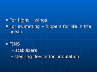 For flight – wings For swimming – flippers for life in the ocean FINS - stabilizers  - steering device for undulation 