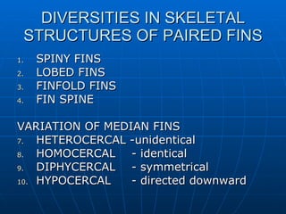 DIVERSITIES IN SKELETAL STRUCTURES OF PAIRED FINS SPINY FINS LOBED FINS FINFOLD FINS FIN SPINE VARIATION OF MEDIAN FINS HETEROCERCAL -unidentical HOMOCERCAL  - identical DIPHYCERCAL - symmetrical HYPOCERCAL  - directed downward 