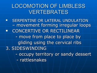 LOCOMOTION OF LIMBLESS VERTEBRATES SERPENTINE OR LATERAL UNDULATION  – movement forming irregular loops CONCERTIVE OR RECTILINEAR - move from place to place by  gliding using the cervical ribs 3. SIDESWINDING - occupy territory or sandy dessert - rattlesnakes 