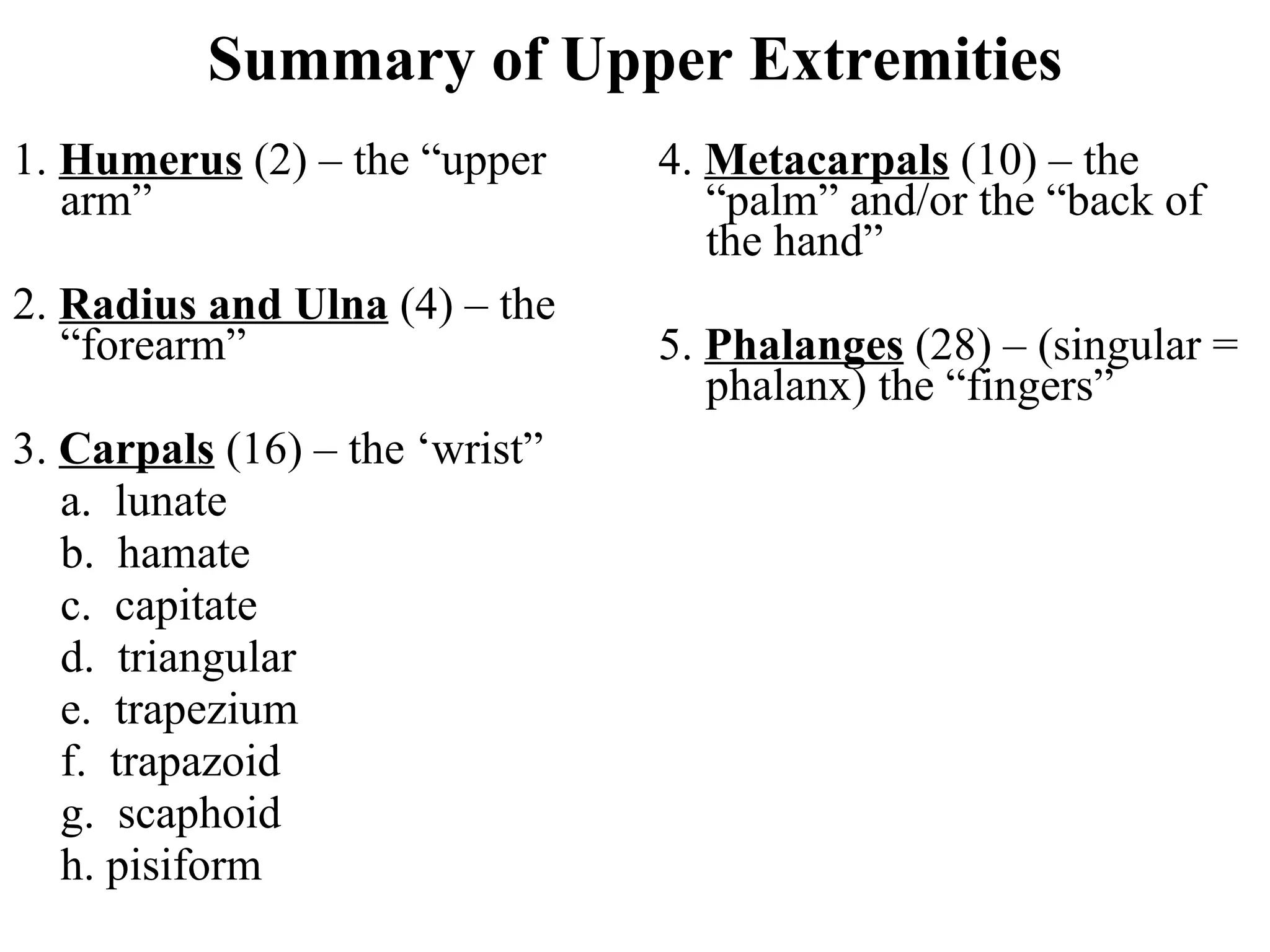 Summary of Upper Extremities 4.  Metacarpals  (10) – the “palm” and/or the “back of the hand” 5.  Phalanges  (28) – (singular = phalanx) the “fingers” 1.  Humerus  (2) – the “upper arm” 2.  Radius and Ulna  (4) – the “forearm” 3.  Carpals  (16) – the ‘wrist” a.  lunate b.  hamate c.  capitate d.  triangular e.  trapezium f.  trapazoid g.  scaphoid h. pisiform 