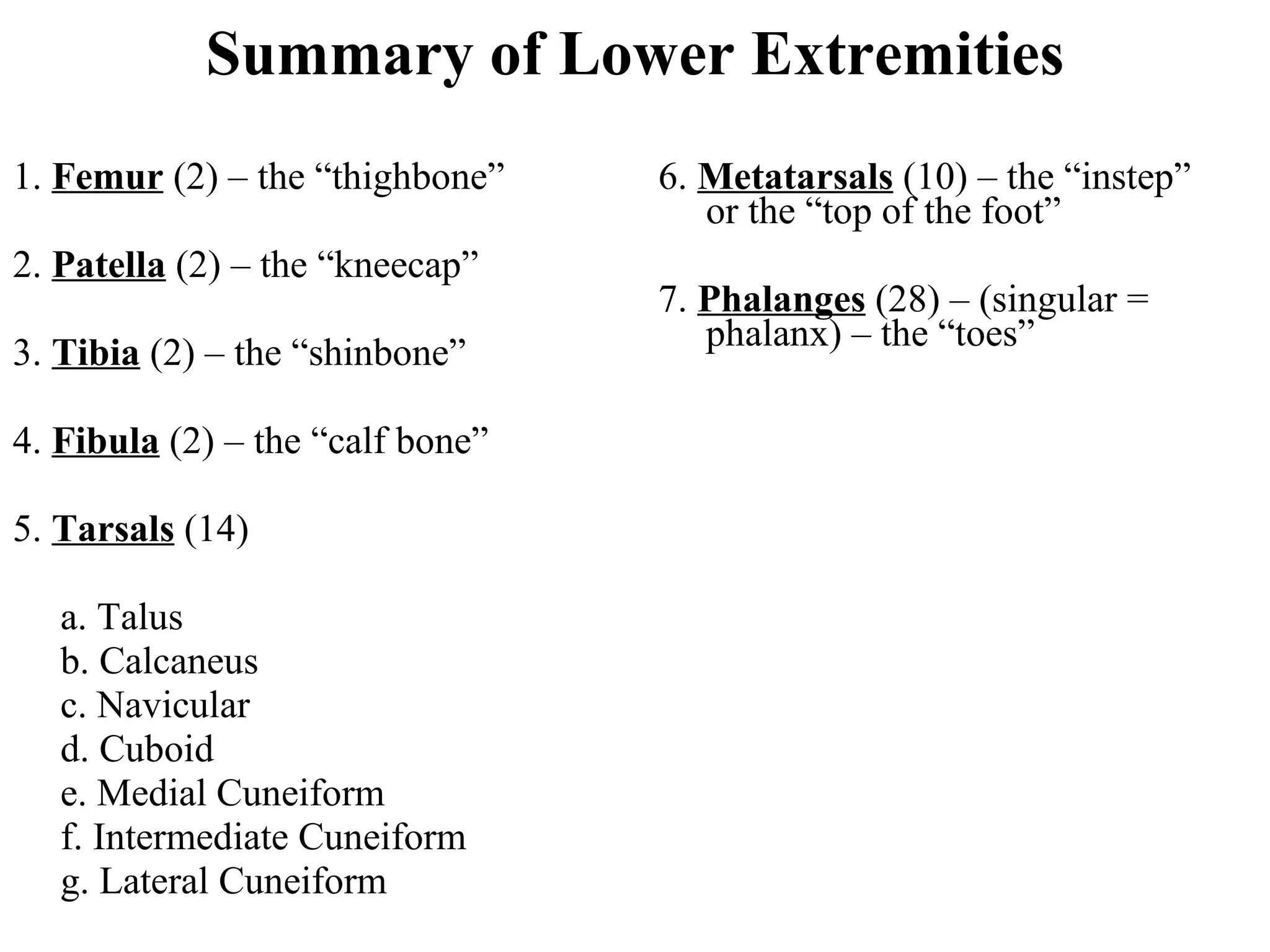 Summary of Lower Extremities 1.  Femur  (2) – the “thighbone” 2.  Patella  (2) – the “kneecap” 3.  Tibia  (2) – the “shinbone” 4.  Fibula  (2) – the “calf bone” 5.  Tarsals  (14) a. Talus b. Calcaneus c. Navicular d. Cuboid e. Medial Cuneiform f. Intermediate Cuneiform g. Lateral Cuneiform 6.  Metatarsals  (10) – the “instep” or the “top of the foot” 7.  Phalanges  (28) – (singular = phalanx) – the “toes” 