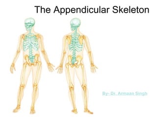 The Appendicular Skeleton
By- Dr. Armaan Singh
 