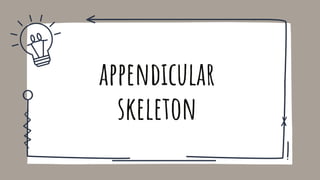appendicular
skeleton
 