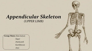 Appendicular Skeleton
(UPPER LIMB)
Group Mates: Ram kalyan
Sagar
Dushyanth
Karthikeyan
Anas
 