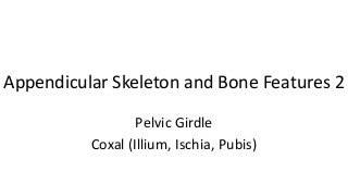 Appendicular Skeleton and Bone Features 2
Pelvic Girdle
Coxal (Illium, Ischia, Pubis)

 