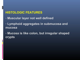 HISTOLOGIC FEATURES
- Muscular layer not well defined
- Lymphoid aggregates in submucosa and
mucosa
- Mucosa is like colon, but irregular shaped
crypts
 