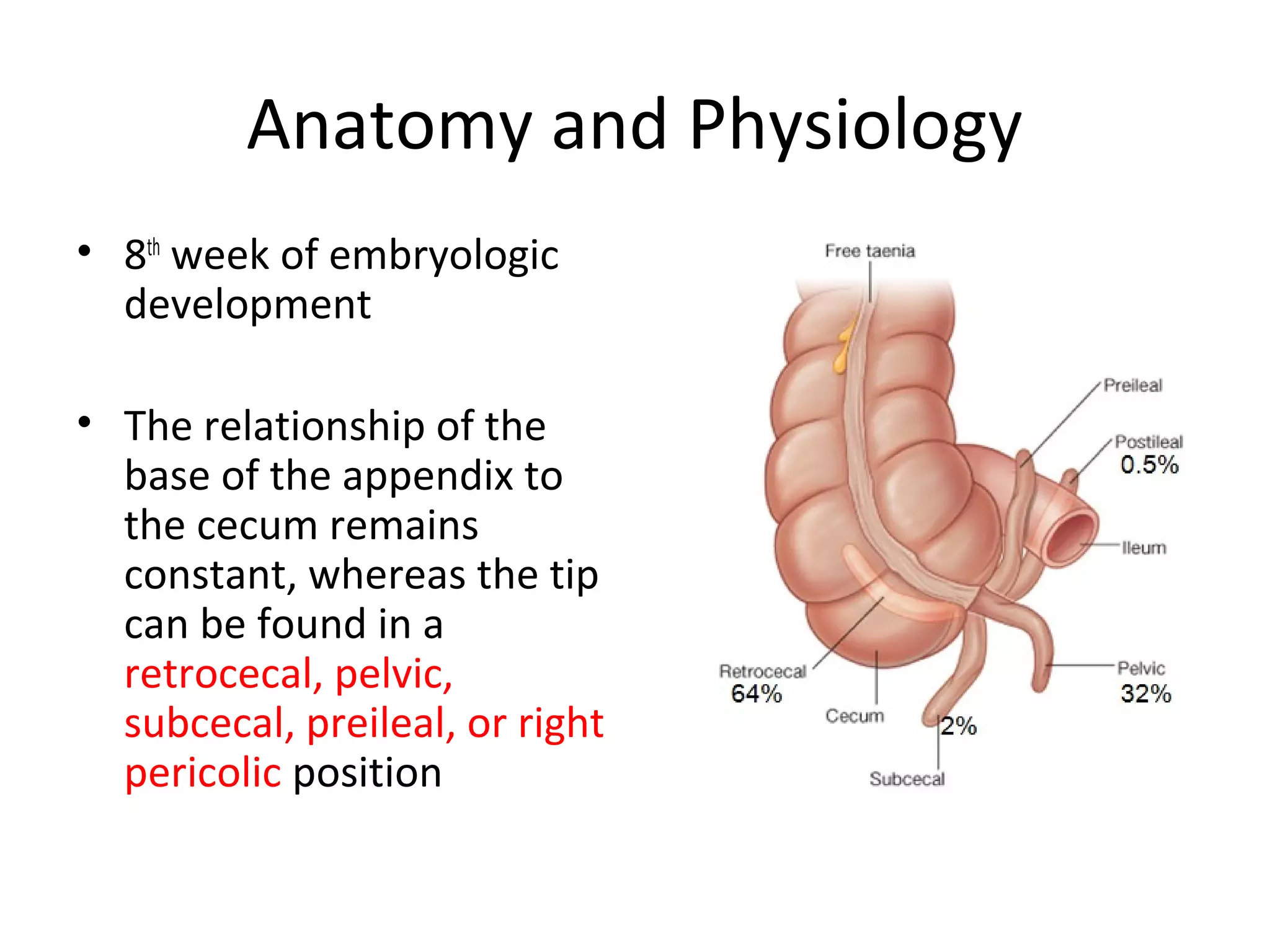 Appendix | PPT