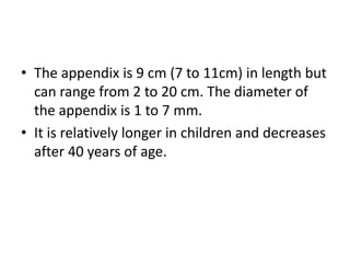 Appendix | PPTX
