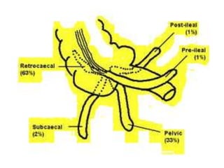 Appendix | PPTX
