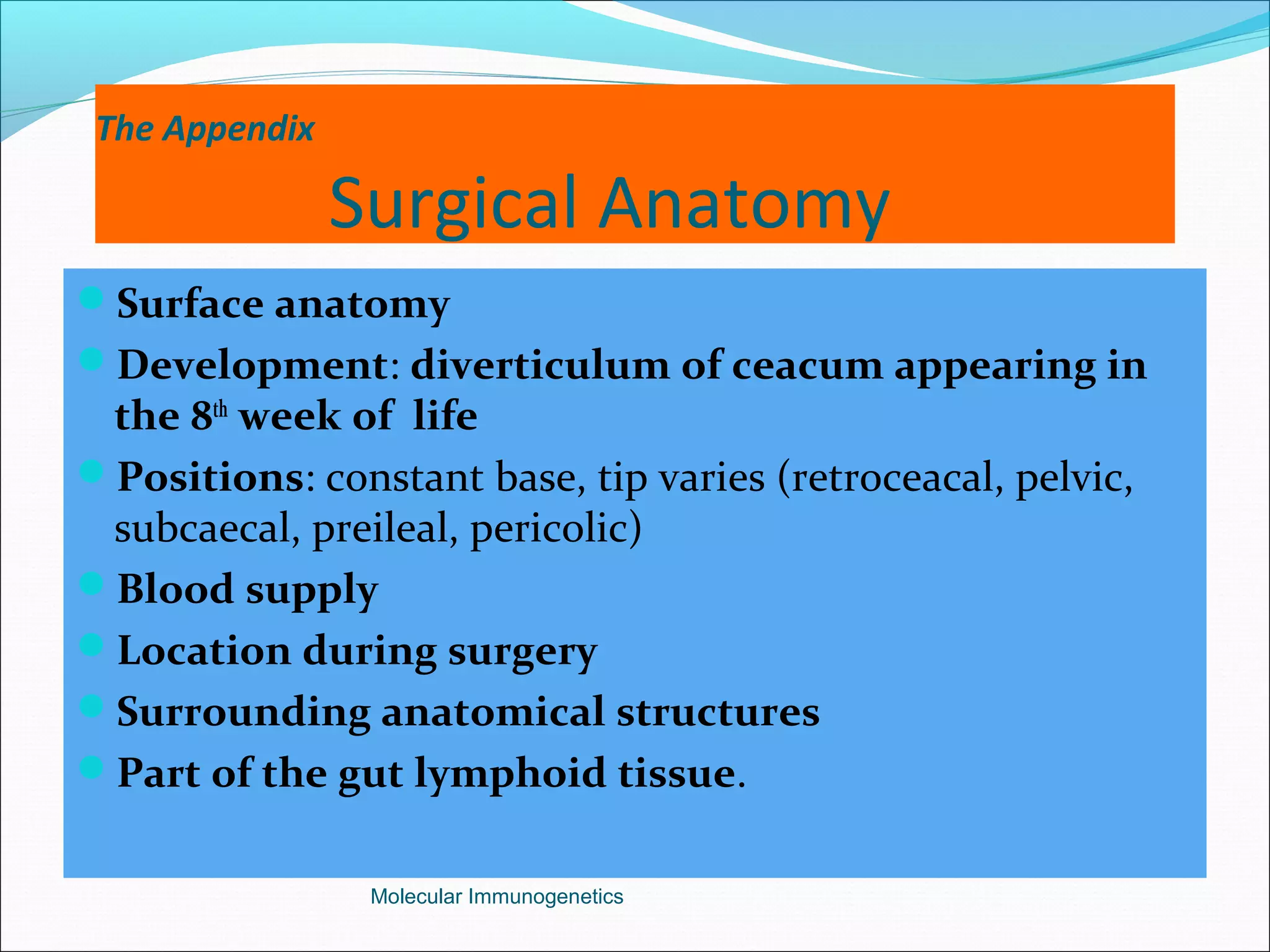 The Appendix
Surgical Anatomy
Surface anatomy
Development: diverticulum of ceacum appearing in
the 8th
week of life
Positions: constant base, tip varies (retroceacal, pelvic,
subcaecal, preileal, pericolic)
Blood supply
Location during surgery
Surrounding anatomical structures
Part of the gut lymphoid tissue.
Molecular Immunogenetics
 