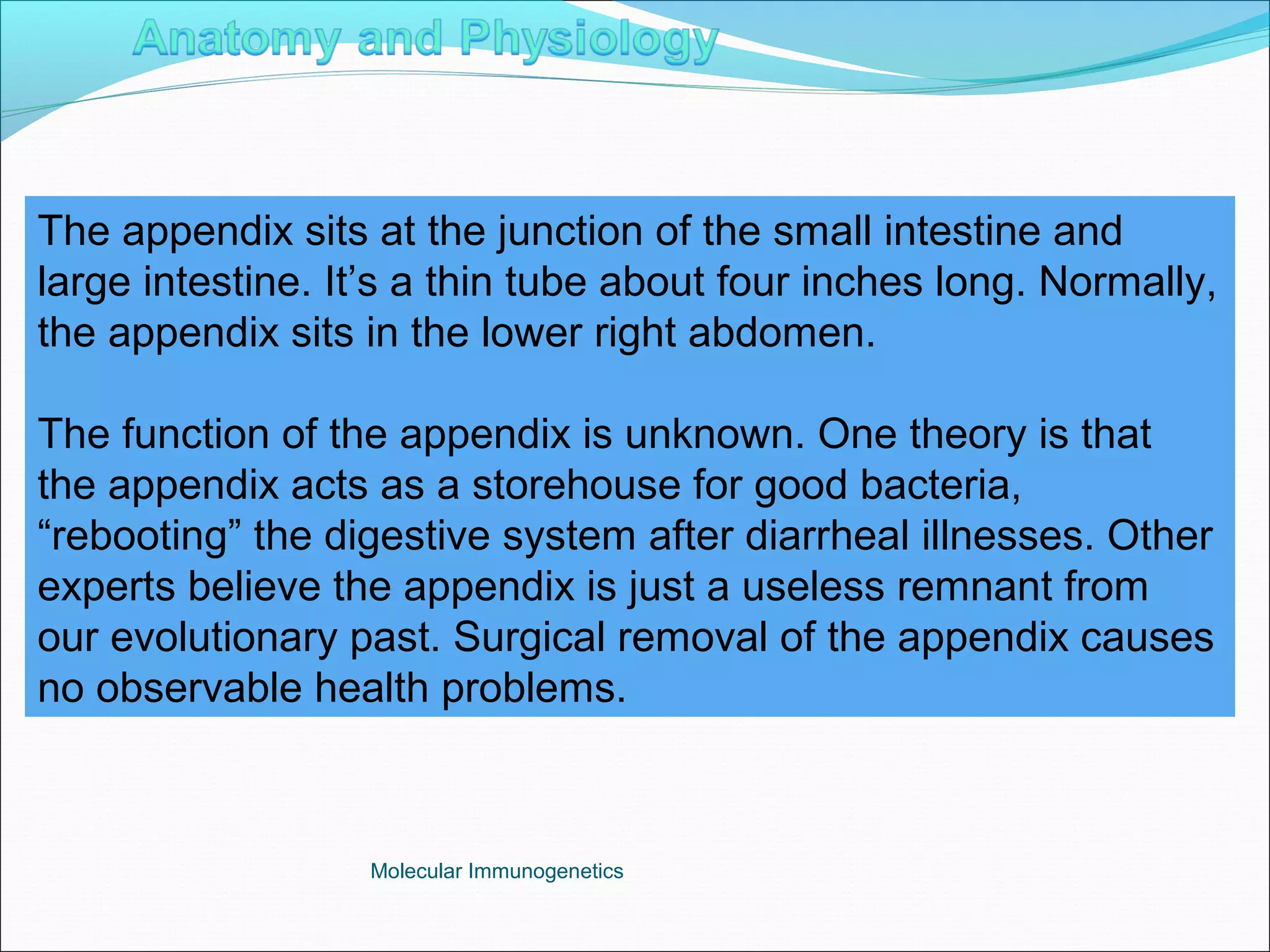 Molecular Immunogenetics
The appendix sits at the junction of the small intestine and
large intestine. It’s a thin tube about four inches long. Normally,
the appendix sits in the lower right abdomen.
The function of the appendix is unknown. One theory is that
the appendix acts as a storehouse for good bacteria,
“rebooting” the digestive system after diarrheal illnesses. Other
experts believe the appendix is just a useless remnant from
our evolutionary past. Surgical removal of the appendix causes
no observable health problems.
 