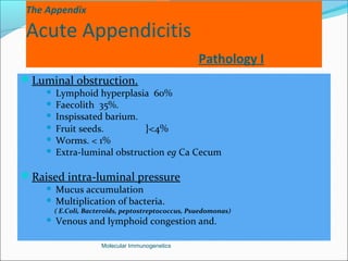 The Appendix
Acute Appendicitis
Pathology I
Luminal obstruction.
 Lymphoid hyperplasia 60%
 Faecolith 35%.
 Inspissated barium.
 Fruit seeds. }<4%
 Worms. < 1%
 Extra-luminal obstruction eg Ca Cecum
Raised intra-luminal pressure
 Mucus accumulation
 Multiplication of bacteria.
( E.Coli, Bacteroids, peptostreptococcus, Psuedomonas)
 Venous and lymphoid congestion and.
Molecular Immunogenetics
 