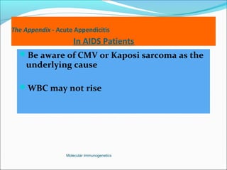 The Appendix - Acute Appendicitis
In AIDS Patients
Be aware of CMV or Kaposi sarcoma as the
underlying cause
WBC may not rise
Molecular Immunogenetics
 