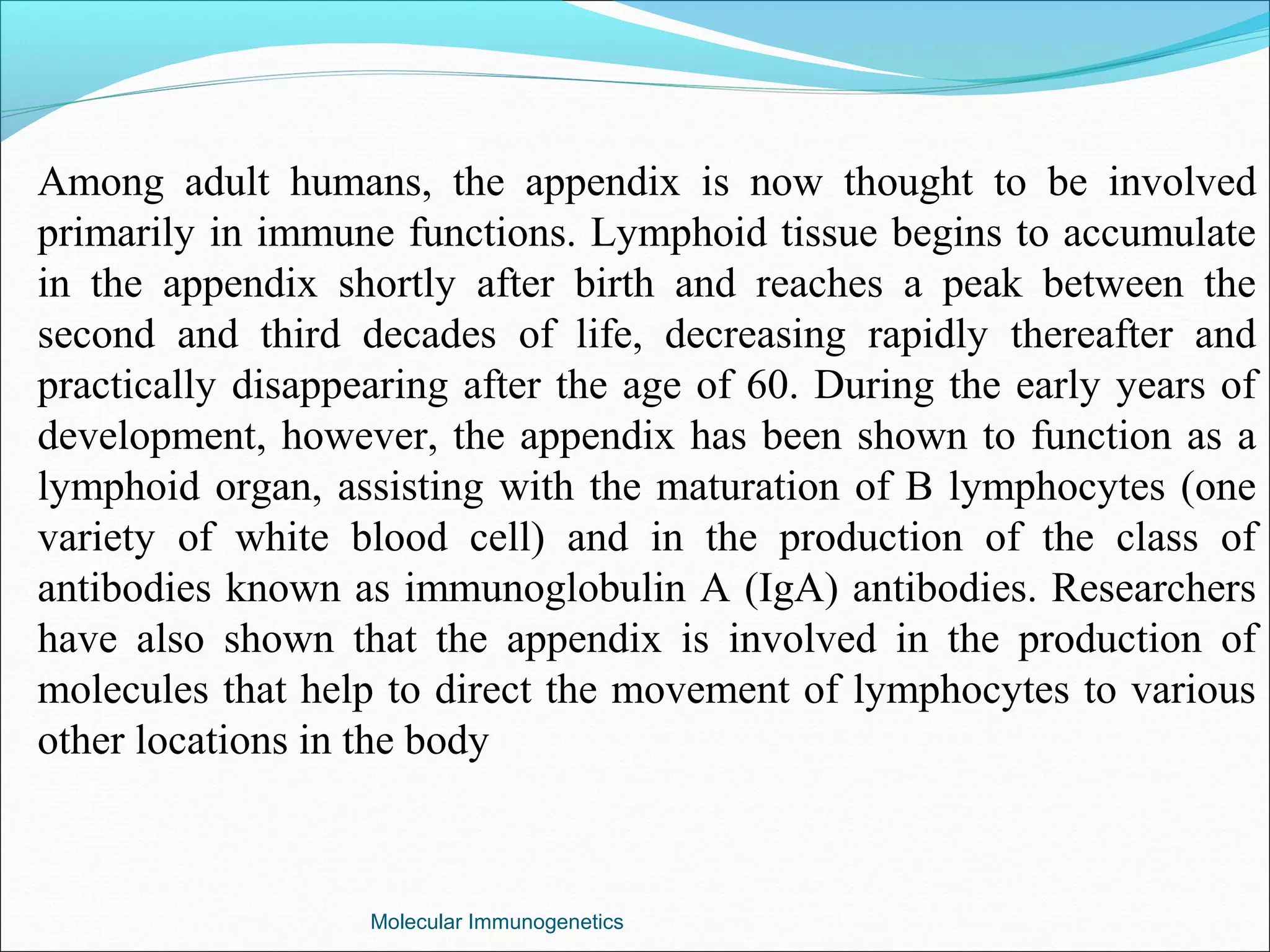 Molecular Immunogenetics
Among adult humans, the appendix is now thought to be involved
primarily in immune functions. Lymphoid tissue begins to accumulate
in the appendix shortly after birth and reaches a peak between the
second and third decades of life, decreasing rapidly thereafter and
practically disappearing after the age of 60. During the early years of
development, however, the appendix has been shown to function as a
lymphoid organ, assisting with the maturation of B lymphocytes (one
variety of white blood cell) and in the production of the class of
antibodies known as immunoglobulin A (IgA) antibodies. Researchers
have also shown that the appendix is involved in the production of
molecules that help to direct the movement of lymphocytes to various
other locations in the body
 