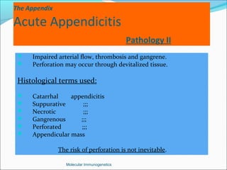 The Appendix
Acute Appendicitis
Pathology II
 Impaired arterial flow, thrombosis and gangrene.
 Perforation may occur through devitalized tissue.
Histological terms used:
 Catarrhal appendicitis
 Suppurative ;;;
 Necrotic ;;;
 Gangrenous ;;;
 Perforated ;;;
 Appendicular mass
The risk of perforation is not inevitable.
Molecular Immunogenetics
 
