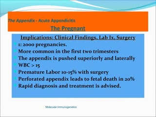 The Appendix - Acute Appendicitis
The Pregnant
Implications: Clinical Findings, Lab Ix, SurgeryImplications: Clinical Findings, Lab Ix, Surgery
1: 2000 pregnancies.
More common in the first two trimesters
The appendix is pushed superiorly and laterally
WBC > 15
Premature Labor 10-15% with surgery
Perforated appendix leads to fetal death in 20%
Rapid diagnosis and treatment is advised.
Molecular Immunogenetics
 