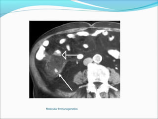 Molecular Immunogenetics
 