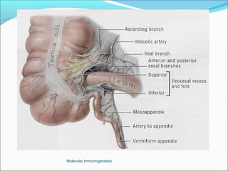 Molecular Immunogenetics
 