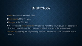 EMBRYOLOGY
Starts to develop at the 6th week
First noticed at the 8th week
Elongate at the 5th month
The subsequent unequal growth of the lateral wall of the cecum causes the appendix to
find its adult position on the posterior medial wall, just below the ileocecal valve
located by following the longitudinally oriented taeniae coli to their confluence on the
cecum
 