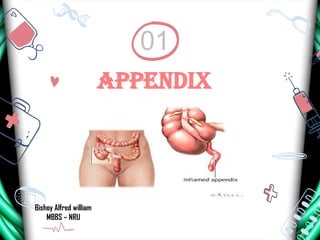 Appendix
01
Bishoy Alfred william
MBBS – NRU
 