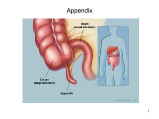 1
Appendix
 