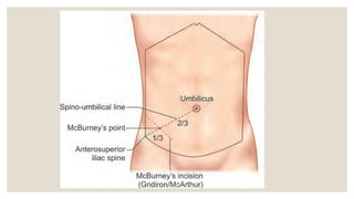 appendix and its diseases in detail for surgery | PPTX