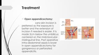 Appendix - Anatomy Physiology and Appendicitis | PPTX