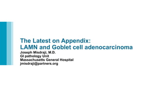 Lamn Appendix Algorithm the LAMN and Goblet cell adenocarcinoma.pdf