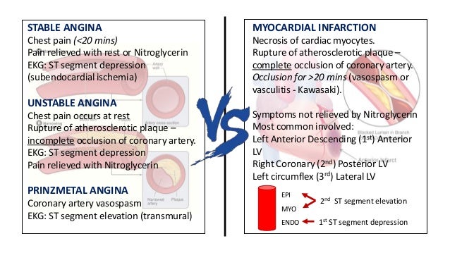 Usmle Step 1 Pathology Review Part 2