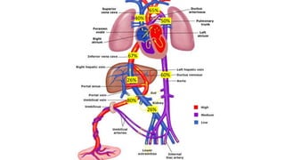 80%
67%
26%
26%
40%
65%
50%
60%
 