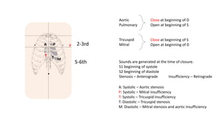 . A P . 2-3rd
5-6th
.
Aortic
Pulmonary
Tricuspid
Mitral
Close at beginning of S
Open at beginning of D
Close at beginning of D
Open at beginning of S
Sounds are generated at the time of closure.
S1 beginning of systole
S2 beginning of diastole
Stenosis – Anterograde Insufficiency – Retrograde
MT
A: Systolic – Aortic stenosis
P: Systolic – Mitral insufficiency
T: Systolic – Tricuspid insufficiency
T: Diastolic – Tricuspid stenosis
M: Diastolic – Mitral stenosis and aortic insufficiency
T
P
 