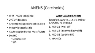 ANENS (Carcinoids)
• F>M , ~65% incidence
• 2nd/ 3rd decades
• Arise from subepithelial NE cells
• Mostly located at tip
• Acute Appendicitis/ Mass/ Mets
• Dx: IHC -
• Synaptophisin
• CgA
WHO CLASSIFICATION
based on size (<1, 1-2, >2 cm); Ki-
67 index, Tx invasion
1. NET-G1 (well diff)
2. NET-G2 (intermediatly diff)
3. NEC-G3 (poorly diff)
4. MANECs
 