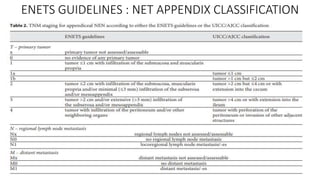 ENETS GUIDELINES : NET APPENDIX CLASSIFICATION
 