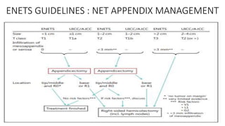 ENETS GUIDELINES : NET APPENDIX MANAGEMENT
 