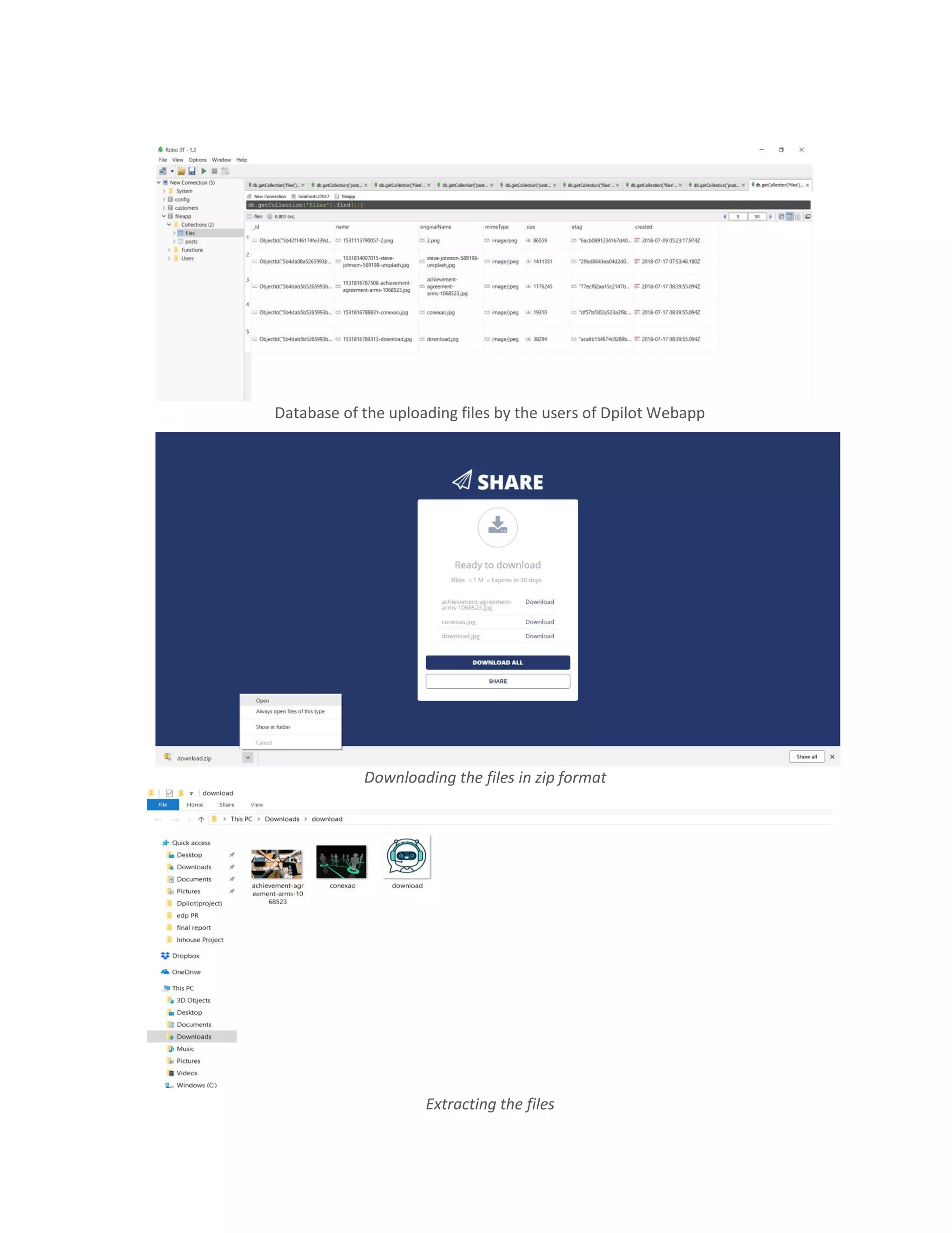Database of the uploading files by the users of Dpilot Webapp
Downloading the files in zip format
Extracting the files
 