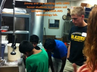 Jimmy and Jay working with UMD
  honor students to process soil
     samples at a USDA-ARS
        nematology lab.
 