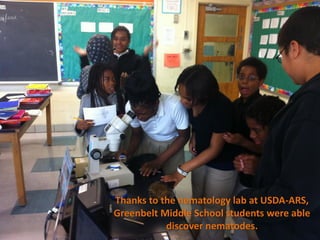 Thanks to the nematology lab at USDA-ARS,
Greenbelt Middle School students were able
           discover nematodes.
 