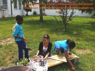 Members of the school’s environmental club helped
transplant seedlings by using recycled newspaper as
                        pots.
 