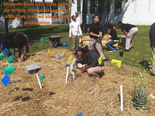 Students from each class paired
up to help transplant seedlings
 after they learned about plant
          propagation.
 