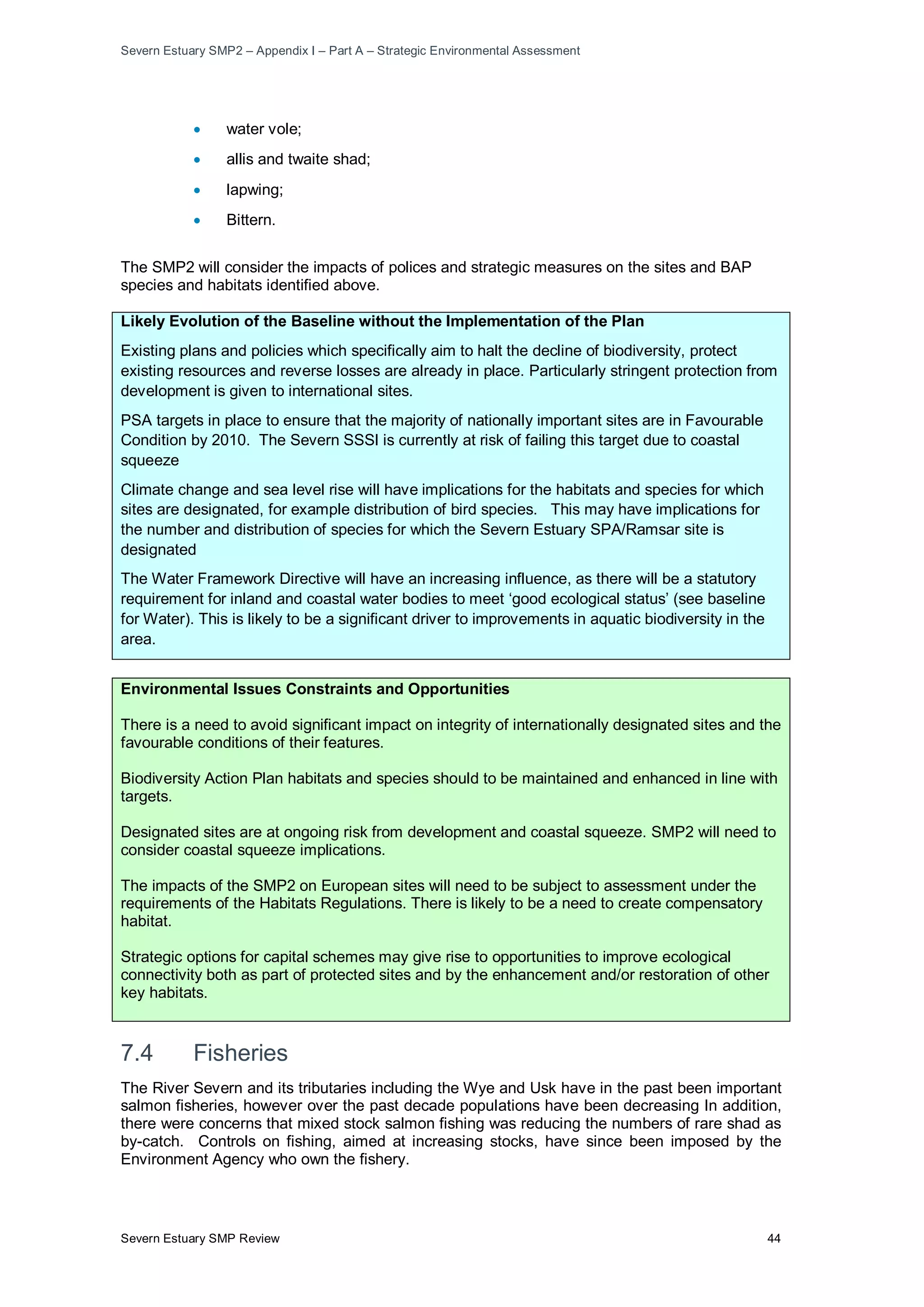 Severn Estuary SMP2 – Appendix I – Part A – Strategic Environmental Assessment
Severn Estuary SMP Review 44
• water vole;
• allis and twaite shad;
• lapwing;
• Bittern.
The SMP2 will consider the impacts of polices and strategic measures on the sites and BAP
species and habitats identified above.
Likely Evolution of the Baseline without the Implementation of the Plan
Existing plans and policies which specifically aim to halt the decline of biodiversity, protect
existing resources and reverse losses are already in place. Particularly stringent protection from
development is given to international sites.
PSA targets in place to ensure that the majority of nationally important sites are in Favourable
Condition by 2010. The Severn SSSI is currently at risk of failing this target due to coastal
squeeze
Climate change and sea level rise will have implications for the habitats and species for which
sites are designated, for example distribution of bird species. This may have implications for
the number and distribution of species for which the Severn Estuary SPA/Ramsar site is
designated
The Water Framework Directive will have an increasing influence, as there will be a statutory
requirement for inland and coastal water bodies to meet ‘good ecological status’ (see baseline
for Water). This is likely to be a significant driver to improvements in aquatic biodiversity in the
area.
Environmental Issues Constraints and Opportunities
There is a need to avoid significant impact on integrity of internationally designated sites and the
favourable conditions of their features.
Biodiversity Action Plan habitats and species should to be maintained and enhanced in line with
targets.
Designated sites are at ongoing risk from development and coastal squeeze. SMP2 will need to
consider coastal squeeze implications.
The impacts of the SMP2 on European sites will need to be subject to assessment under the
requirements of the Habitats Regulations. There is likely to be a need to create compensatory
habitat.
Strategic options for capital schemes may give rise to opportunities to improve ecological
connectivity both as part of protected sites and by the enhancement and/or restoration of other
key habitats.
7.4 Fisheries
The River Severn and its tributaries including the Wye and Usk have in the past been important
salmon fisheries, however over the past decade populations have been decreasing In addition,
there were concerns that mixed stock salmon fishing was reducing the numbers of rare shad as
by-catch. Controls on fishing, aimed at increasing stocks, have since been imposed by the
Environment Agency who own the fishery.
 