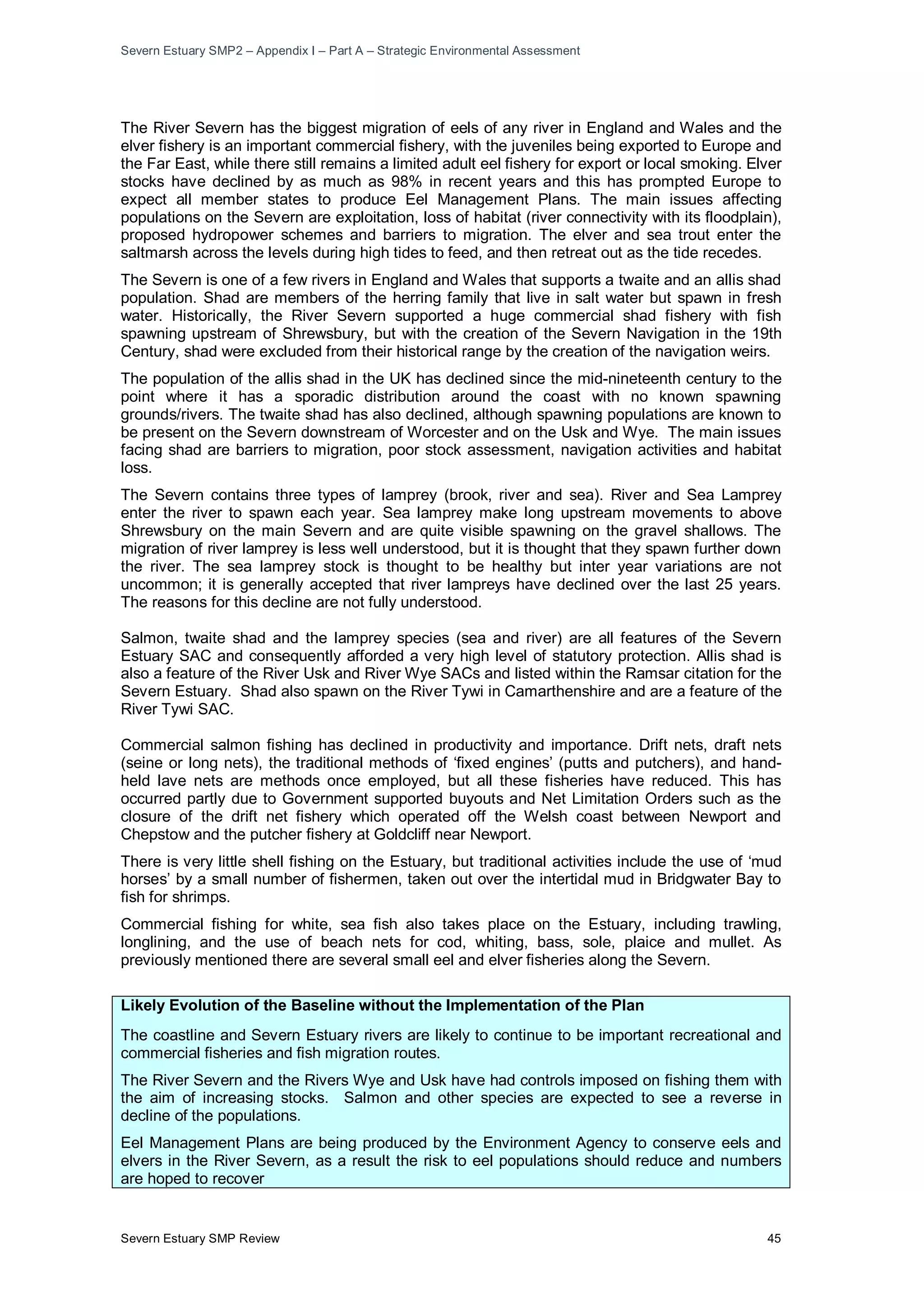 Severn Estuary SMP2 – Appendix I – Part A – Strategic Environmental Assessment
Severn Estuary SMP Review 45
The River Severn has the biggest migration of eels of any river in England and Wales and the
elver fishery is an important commercial fishery, with the juveniles being exported to Europe and
the Far East, while there still remains a limited adult eel fishery for export or local smoking. Elver
stocks have declined by as much as 98% in recent years and this has prompted Europe to
expect all member states to produce Eel Management Plans. The main issues affecting
populations on the Severn are exploitation, loss of habitat (river connectivity with its floodplain),
proposed hydropower schemes and barriers to migration. The elver and sea trout enter the
saltmarsh across the levels during high tides to feed, and then retreat out as the tide recedes.
The Severn is one of a few rivers in England and Wales that supports a twaite and an allis shad
population. Shad are members of the herring family that live in salt water but spawn in fresh
water. Historically, the River Severn supported a huge commercial shad fishery with fish
spawning upstream of Shrewsbury, but with the creation of the Severn Navigation in the 19th
Century, shad were excluded from their historical range by the creation of the navigation weirs.
The population of the allis shad in the UK has declined since the mid-nineteenth century to the
point where it has a sporadic distribution around the coast with no known spawning
grounds/rivers. The twaite shad has also declined, although spawning populations are known to
be present on the Severn downstream of Worcester and on the Usk and Wye. The main issues
facing shad are barriers to migration, poor stock assessment, navigation activities and habitat
loss.
The Severn contains three types of lamprey (brook, river and sea). River and Sea Lamprey
enter the river to spawn each year. Sea lamprey make long upstream movements to above
Shrewsbury on the main Severn and are quite visible spawning on the gravel shallows. The
migration of river lamprey is less well understood, but it is thought that they spawn further down
the river. The sea lamprey stock is thought to be healthy but inter year variations are not
uncommon; it is generally accepted that river lampreys have declined over the last 25 years.
The reasons for this decline are not fully understood.
Salmon, twaite shad and the lamprey species (sea and river) are all features of the Severn
Estuary SAC and consequently afforded a very high level of statutory protection. Allis shad is
also a feature of the River Usk and River Wye SACs and listed within the Ramsar citation for the
Severn Estuary. Shad also spawn on the River Tywi in Camarthenshire and are a feature of the
River Tywi SAC.
Commercial salmon fishing has declined in productivity and importance. Drift nets, draft nets
(seine or long nets), the traditional methods of ‘fixed engines’ (putts and putchers), and hand-
held lave nets are methods once employed, but all these fisheries have reduced. This has
occurred partly due to Government supported buyouts and Net Limitation Orders such as the
closure of the drift net fishery which operated off the Welsh coast between Newport and
Chepstow and the putcher fishery at Goldcliff near Newport.
There is very little shell fishing on the Estuary, but traditional activities include the use of ‘mud
horses’ by a small number of fishermen, taken out over the intertidal mud in Bridgwater Bay to
fish for shrimps.
Commercial fishing for white, sea fish also takes place on the Estuary, including trawling,
longlining, and the use of beach nets for cod, whiting, bass, sole, plaice and mullet. As
previously mentioned there are several small eel and elver fisheries along the Severn.
Likely Evolution of the Baseline without the Implementation of the Plan
The coastline and Severn Estuary rivers are likely to continue to be important recreational and
commercial fisheries and fish migration routes.
The River Severn and the Rivers Wye and Usk have had controls imposed on fishing them with
the aim of increasing stocks. Salmon and other species are expected to see a reverse in
decline of the populations.
Eel Management Plans are being produced by the Environment Agency to conserve eels and
elvers in the River Severn, as a result the risk to eel populations should reduce and numbers
are hoped to recover
 