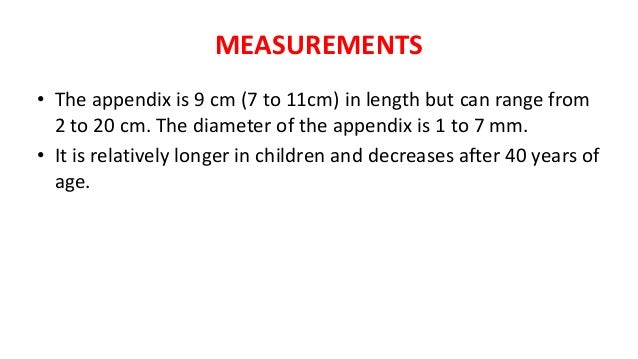 Anatomy of appendix