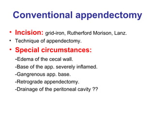 Appendix Pp For Online | PPT