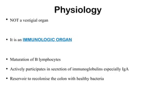 Physiology
• NOT a vestigial organ
• It is an IMMUNOLOGIC ORGAN
• Maturation of B lymphocytes
• Actively participates in secretion of immunoglobulins especially IgA
• Reservoir to recolonise the colon with healthy bacteria
 