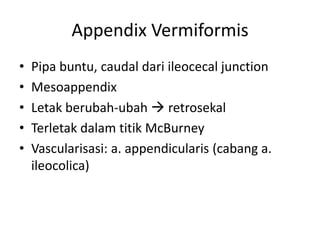 Appendix Vermiformis
• Pipa buntu, caudal dari ileocecal junction
• Mesoappendix
• Letak berubah-ubah  retrosekal
• Terletak dalam titik McBurney
• Vascularisasi: a. appendicularis (cabang a.
ileocolica)
 